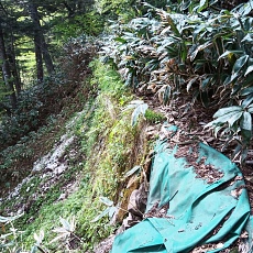 240612_p24.jpg