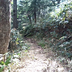 240612_p51.jpg