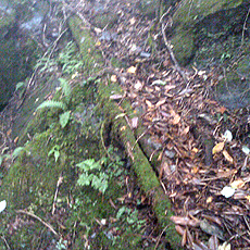 120916_p15.jpg
