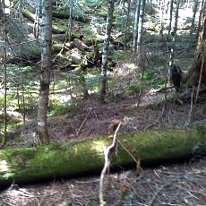 130606_p05.jpg