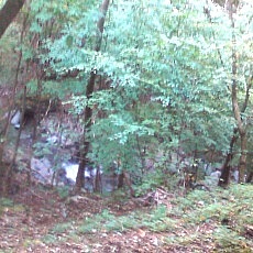 131013_p07.jpg