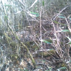 150429_p13.jpg