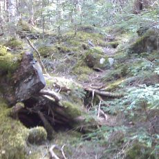 150522_p18.jpg