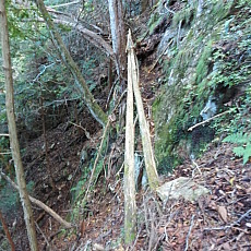 161015_p26.jpg