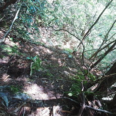 170529_p09.jpg