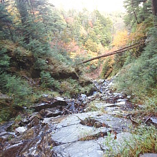 171008_p12.jpg