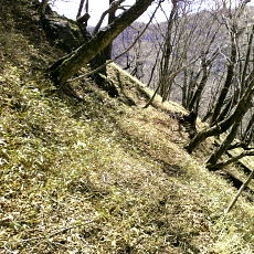 190427_p14.jpg