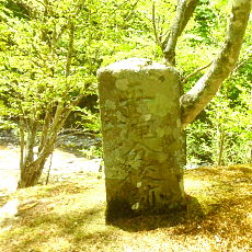190518_p45.jpg