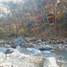 191104_p02.jpg