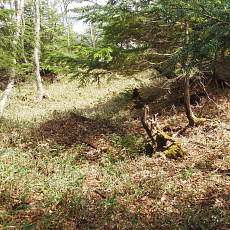 200024_p14.jpg