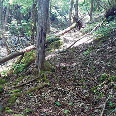 200605_p30.jpg