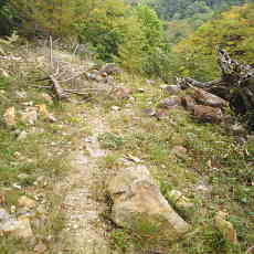 201004_p39.jpg