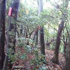 201018_p09.jpg