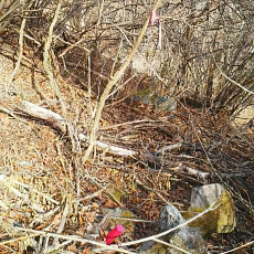 201206_p55.jpg