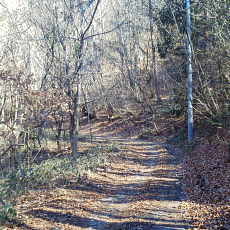 201220_p07.jpg