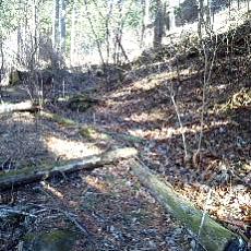 210223_p10.jpg
