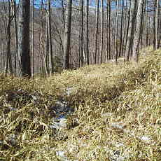 210315_p40.jpg