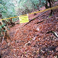 220416_p03.jpg