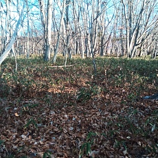 221112_p08.jpg