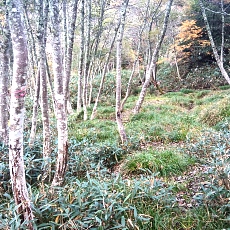 221014_p25.jpg