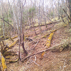 130506_p17.jpg