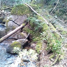 130606_p27.jpg