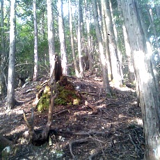 141011_p07.jpg