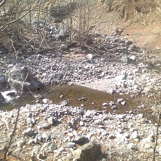 150330_p31.jpg