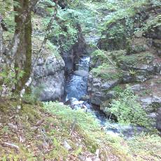 150523_p23.jpg