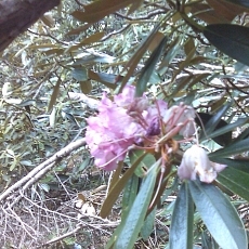 150605_p23.jpg