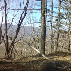 160419_n01.jpg