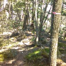 160505_p05.jpg