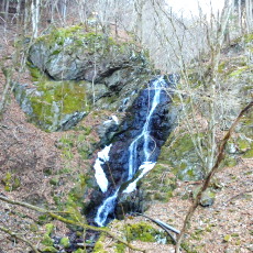 170320_p07.jpg