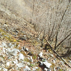 180412_p19.jpg