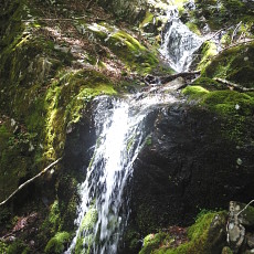 190614_p09.jpg
