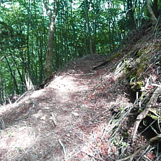 190614_p17.jpg