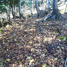 191104_p11.jpg