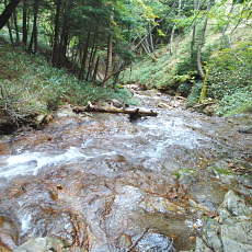 201004_p32.jpg