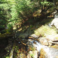 210916_p32.jpg