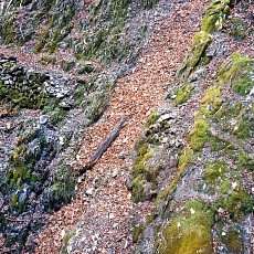 220416_p11.jpg