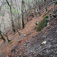 220416_p10.jpg