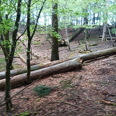 220515_p21.jpg