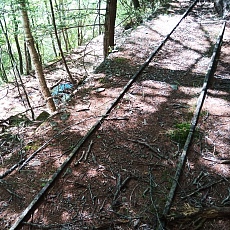 220528_p21.jpg
