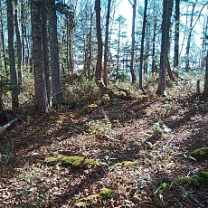 221028_p07.jpg