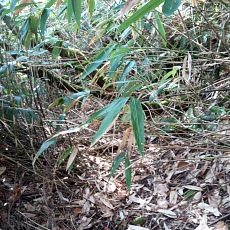 241022_p19.jpg
