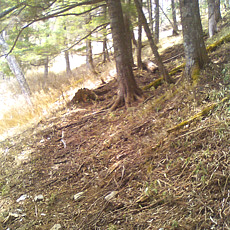 130506_p13.jpg