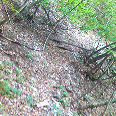 130517_p04.jpg
