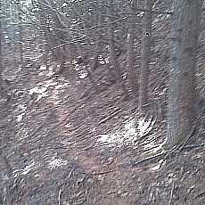 141020_p09.jpg