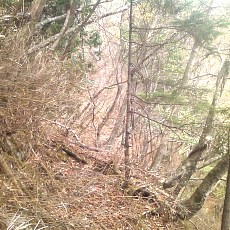 150429_p24.jpg