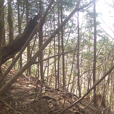 150429_p35.jpg